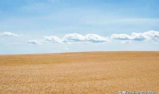 只要锄头舞得好