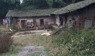 重庆渝北房屋出租 重庆渝北房屋出租