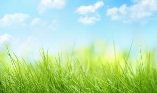 悠悠寸草心第三部