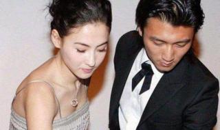 张柏芝点赞王菲 张柏芝点赞王菲