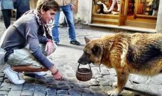 我想要个家 我想要个家