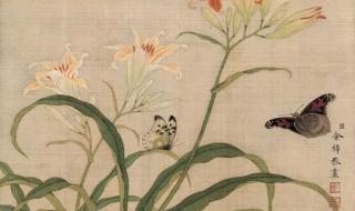 忘忧草在线播放 忘忧草在线播放