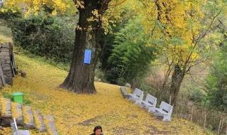 薛之谦衢州演唱会