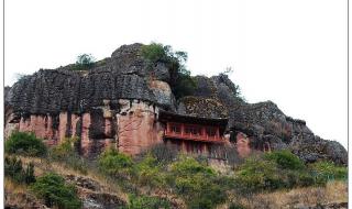 我愿是满山的杜鹃