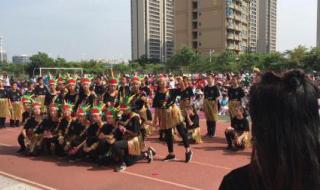 五缘实验学校 五缘实验学校