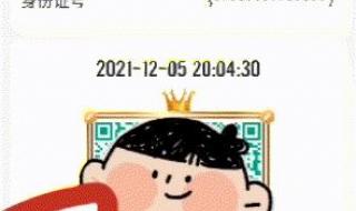 个人疫苗接种记录查询 个人疫苗接种记录查询