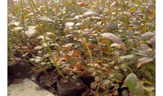 邮政托运价格表 邮政托运价格表