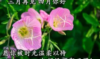 三月再见四月你好图片 三月再见四月你好图片