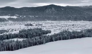 2020年我的新年愿望