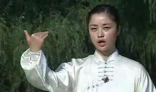 42式太极拳分解教学 42式太极拳分解教学