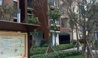 重庆杨家坪房屋出租 重庆杨家坪房屋出租