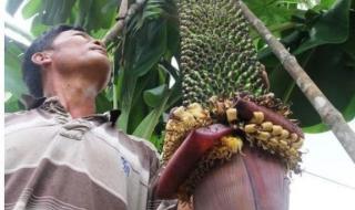 如果我们能在一起