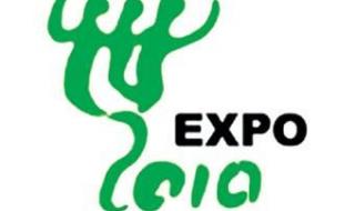 上海世博会图片 上海世博会图片