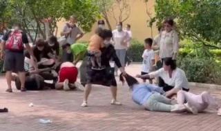 北京动物园打架事件 北京动物园打架事件