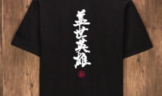 最炫民族风恶搞版 最炫民族风恶搞版