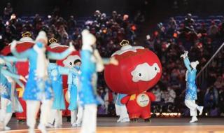 上一届冬残奥会奖牌榜 上一届冬残奥会奖牌榜